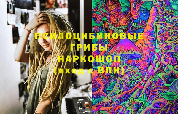 амф Балахна