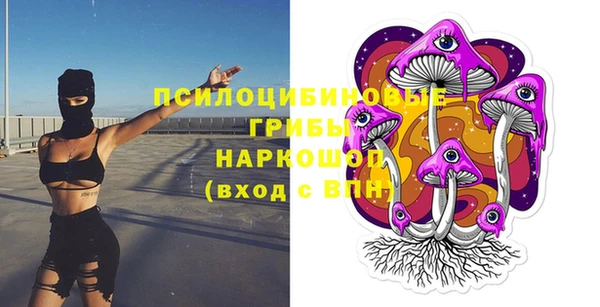 первитин Новодвинск